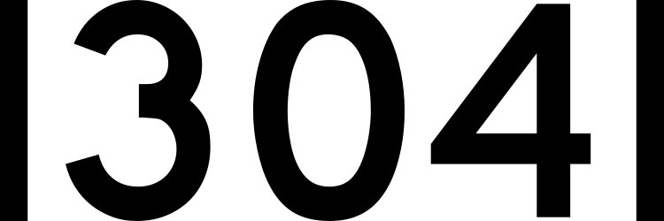 STYLES 304 RADIO banner