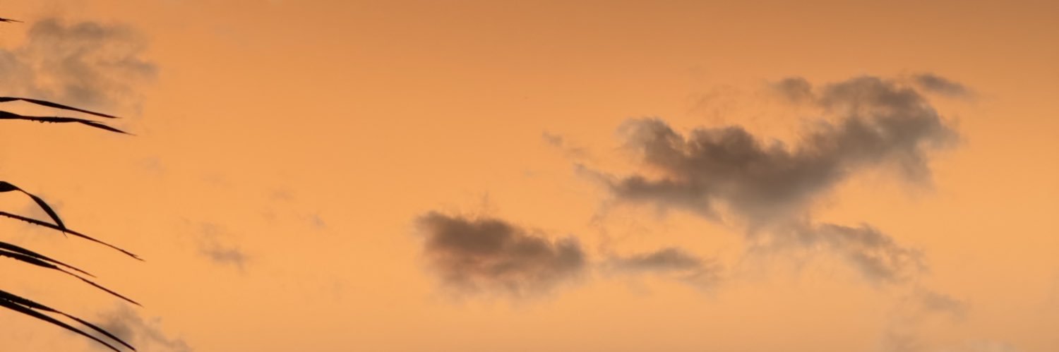 Charlie López banner