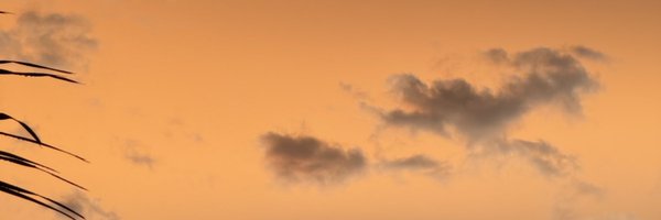 tacodekobe Profile Banner