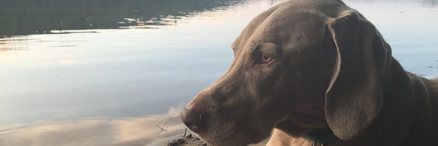 becksterz3's profile banner image