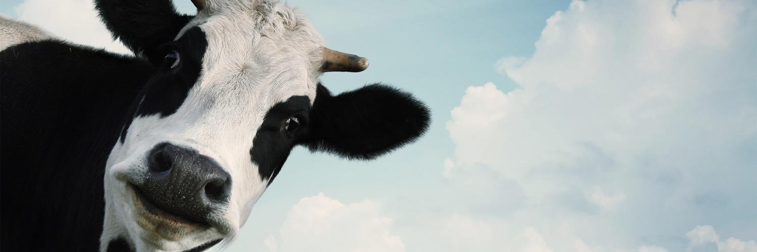 alexallwright's profile banner image
