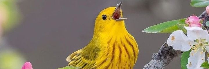 murugesansct's profile banner image