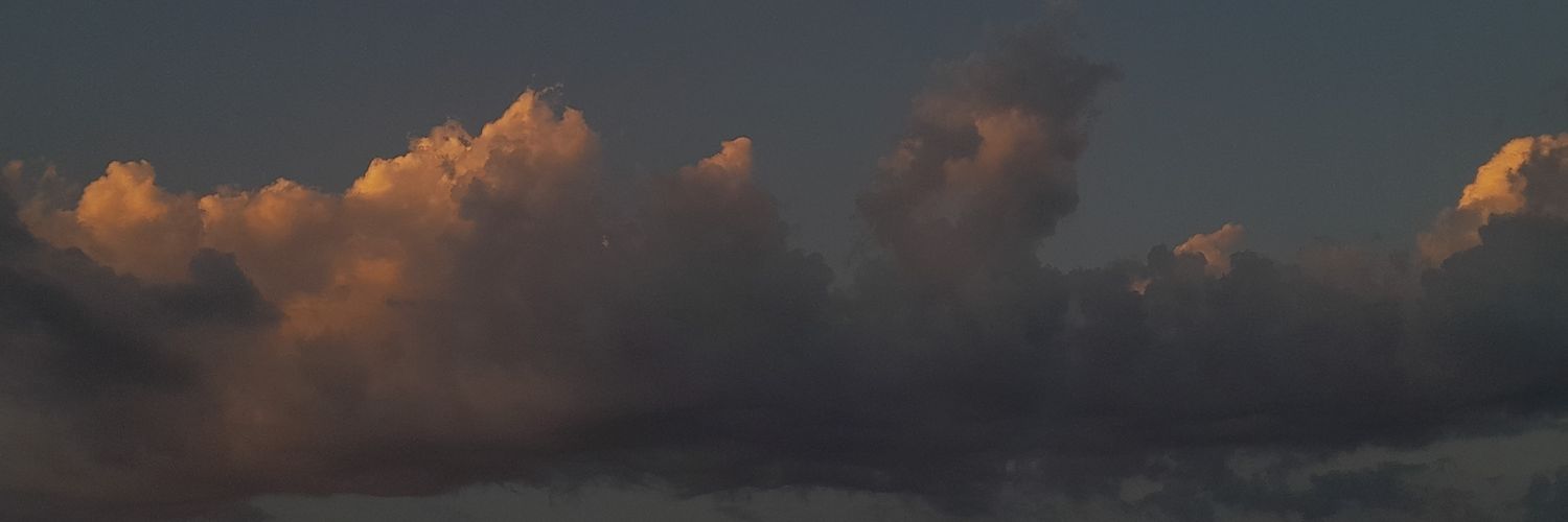 LeonDasilbaOk's profile banner image