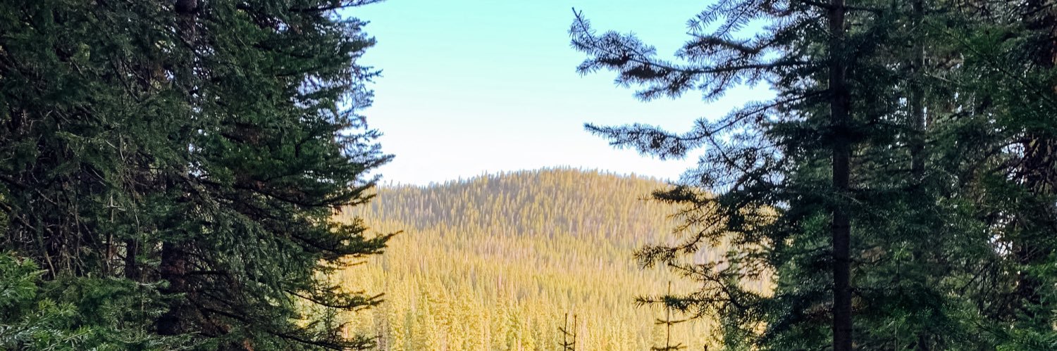 k_predl's profile banner image