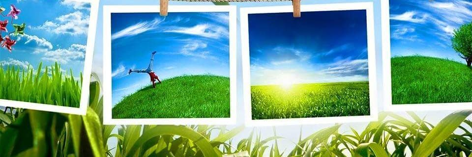 RedFllowers's profile banner image