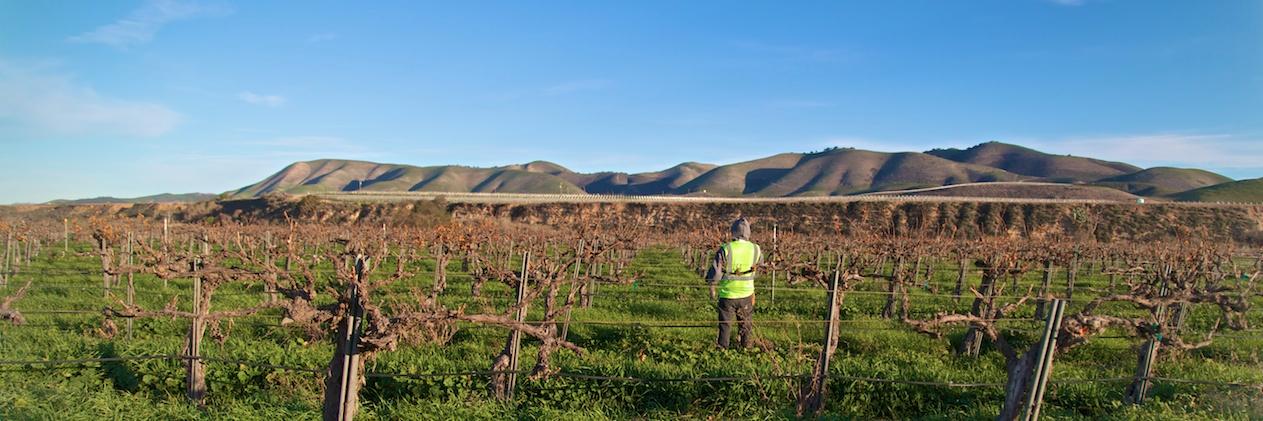 Riverbench Vineyard & Winery banner