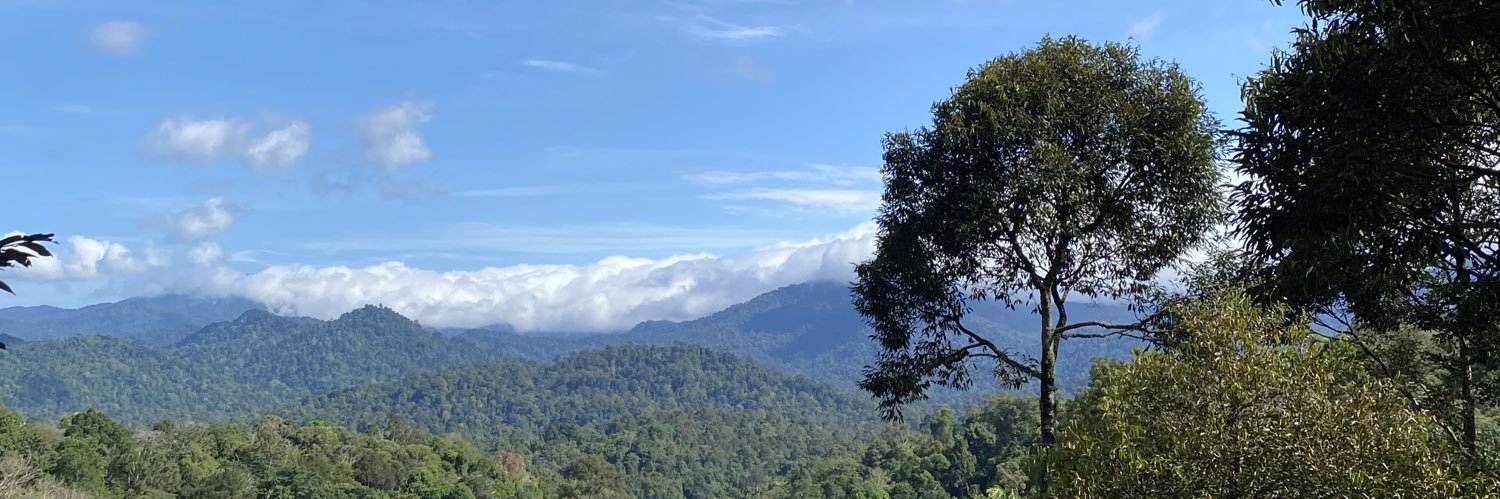 syamimiainaa__'s profile banner image