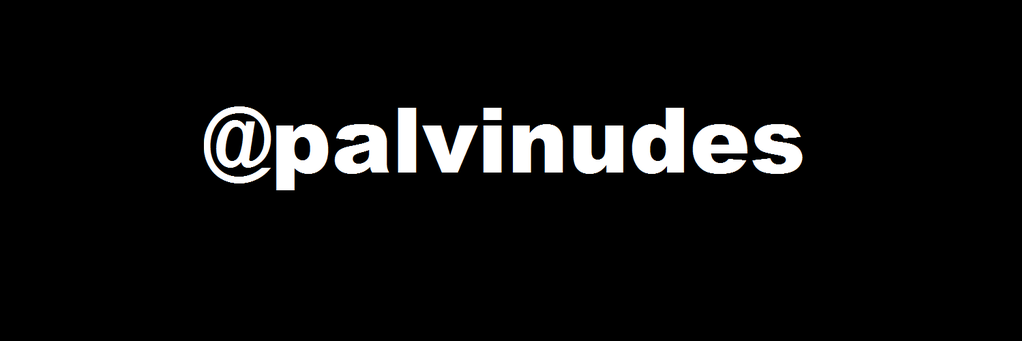palvinudes's profile banner image