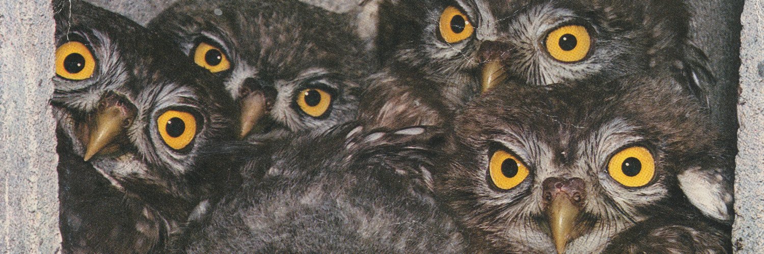 Tilman Klawier banner