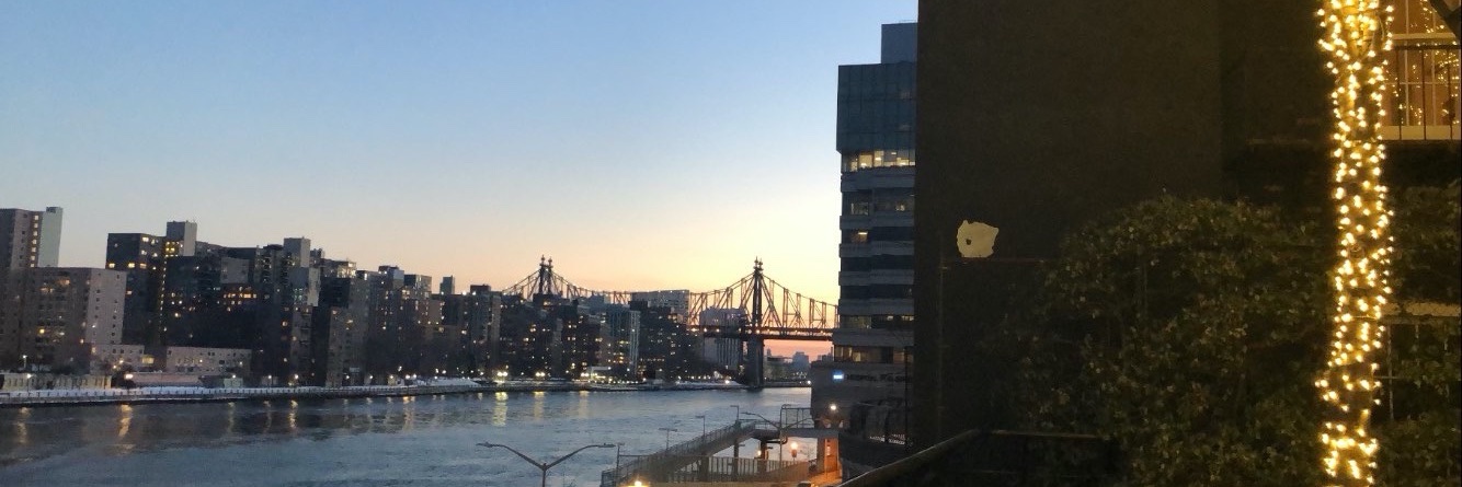 SonyaZoom's profile banner image