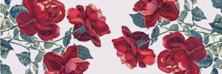 Alaamahmoud2000's profile banner image