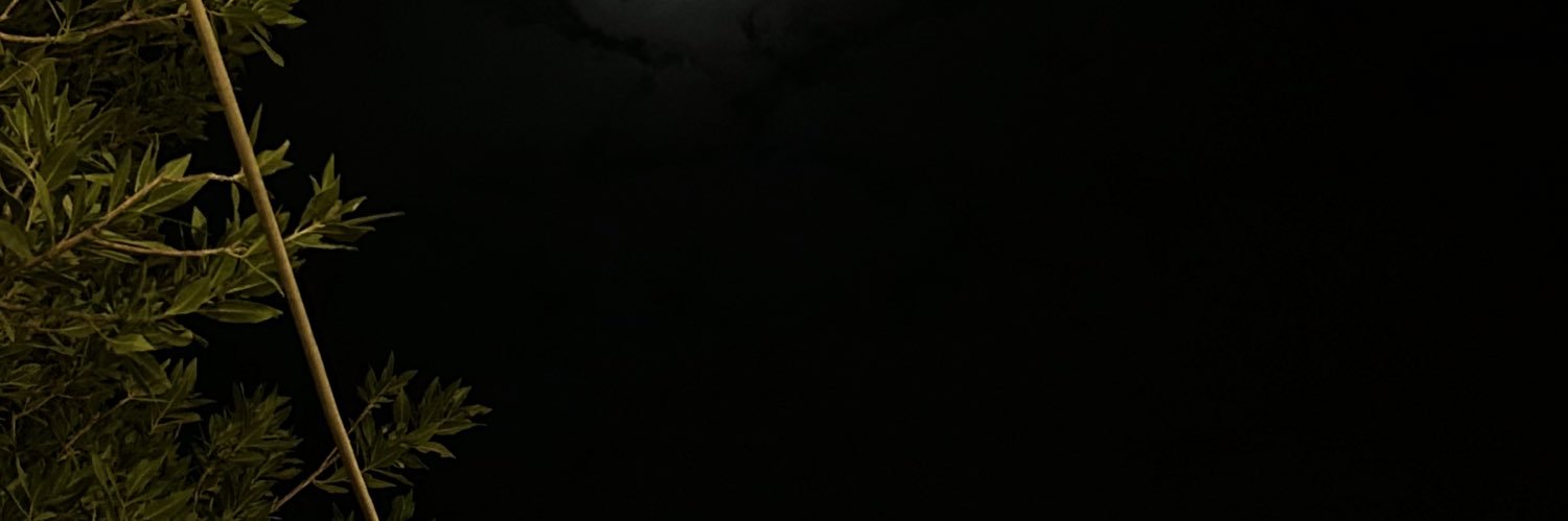 fatenhamdan_5's profile banner image