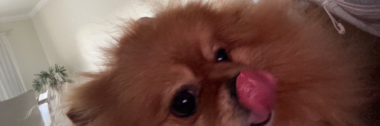 gizbn's profile banner image