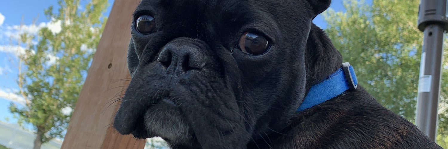 tkjm's profile banner image