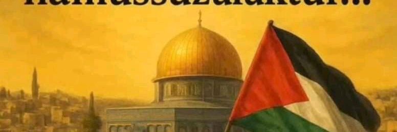 eser_erdogan's profile banner image