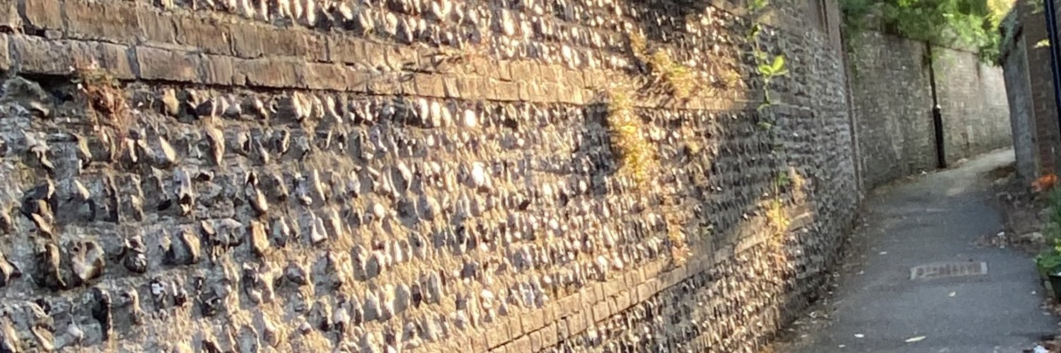 We run the Twittens banner