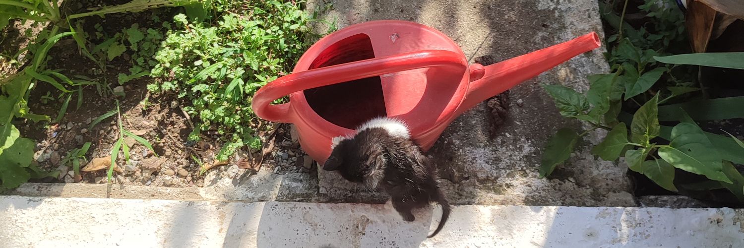 кріпі сліпі хоче спати banner