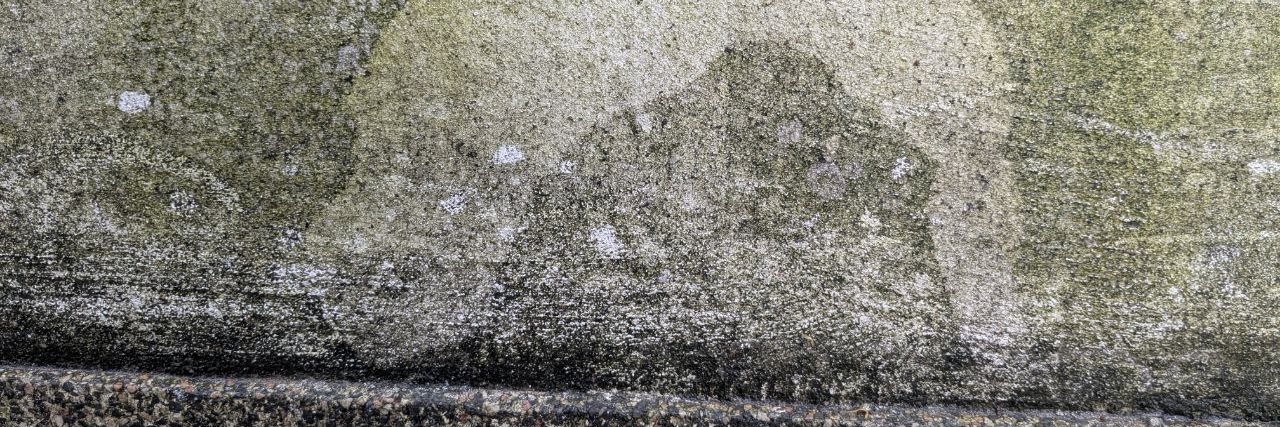 A lot of nothing to say banner