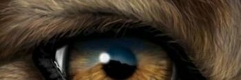 smb1434's profile banner image