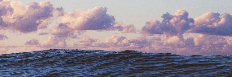 abbyjbarron's profile banner image