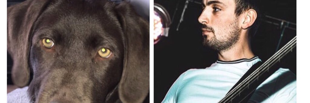 jessdavidson24's profile banner image