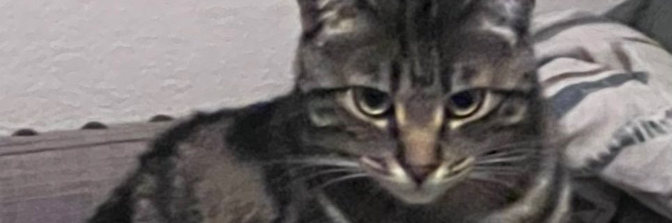 JTSTYL's profile banner image
