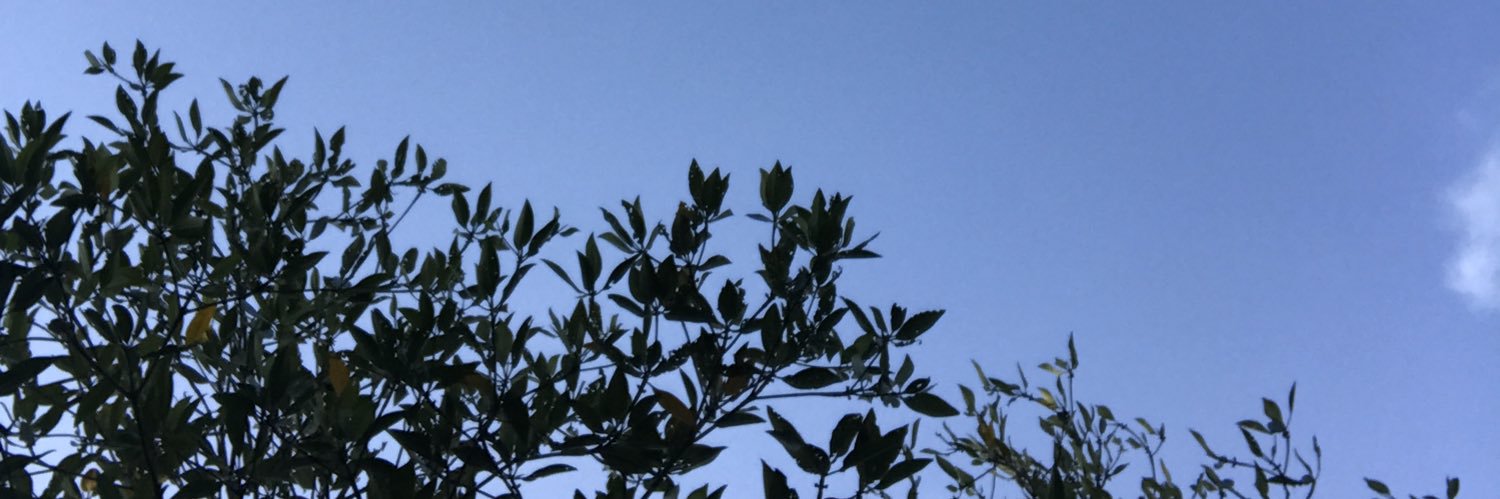 pk_wnl's profile banner image