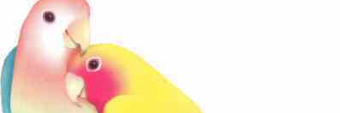 wdad1395's profile banner image