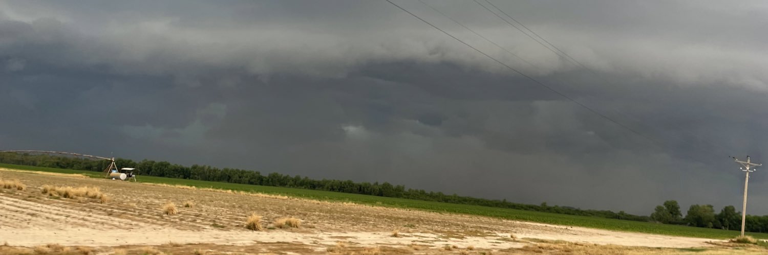 Lori Todd banner