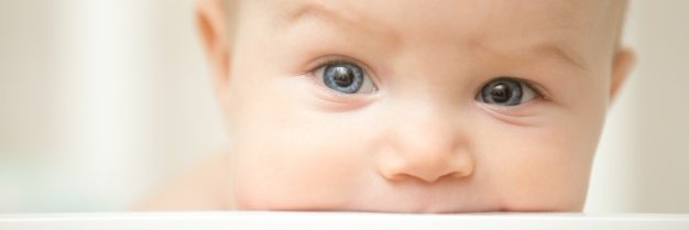PetitKoalaBebe's profile banner image