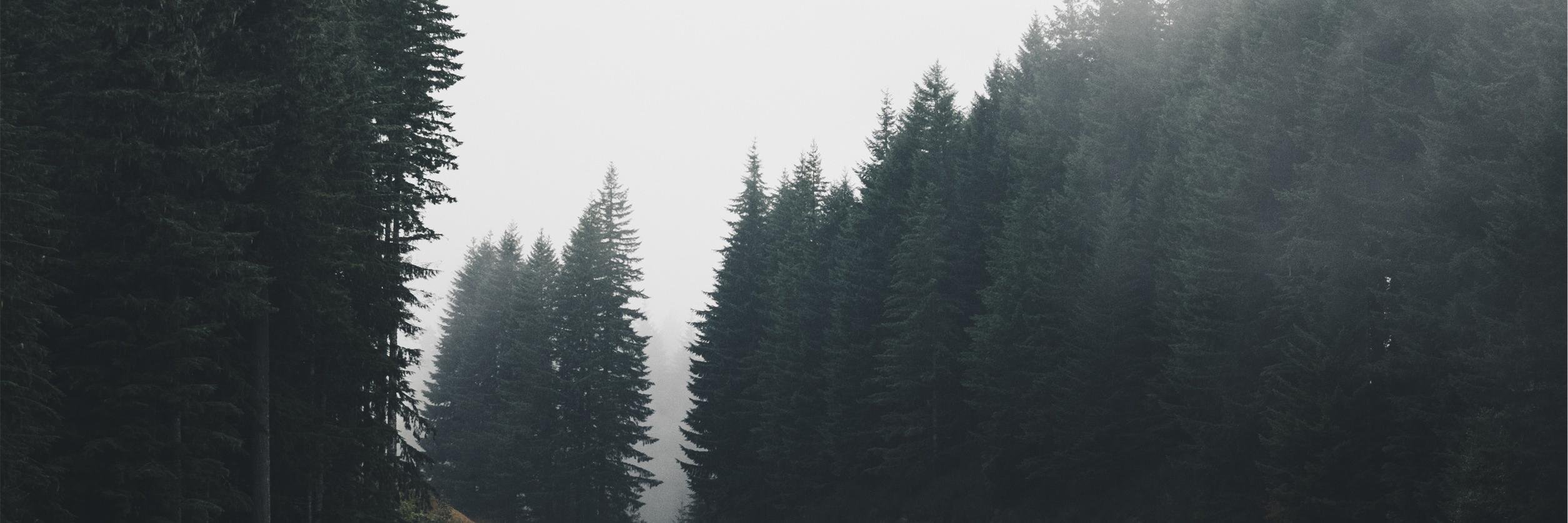 paaaaaassion's profile banner image