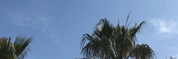 MusicIsFunJP's profile banner image