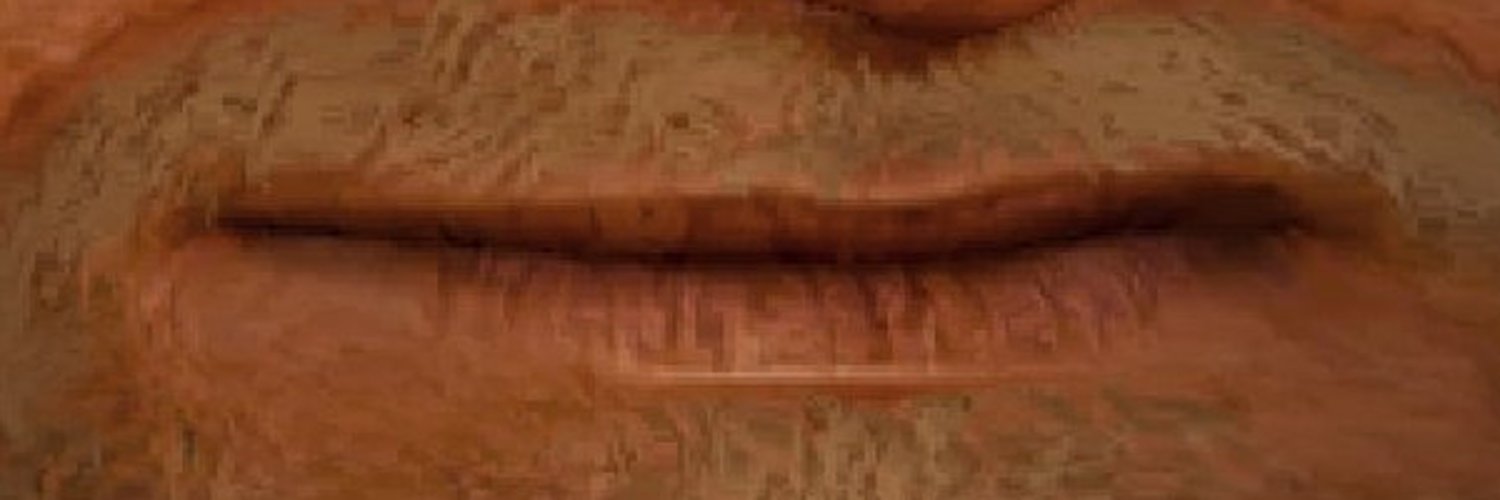 Stefan banner