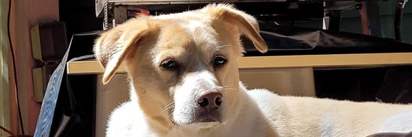 LorenHeyns Profile Banner