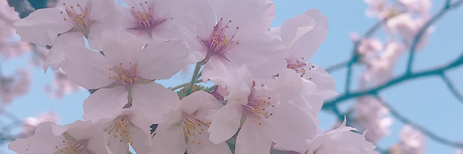 Comic95's profile banner image