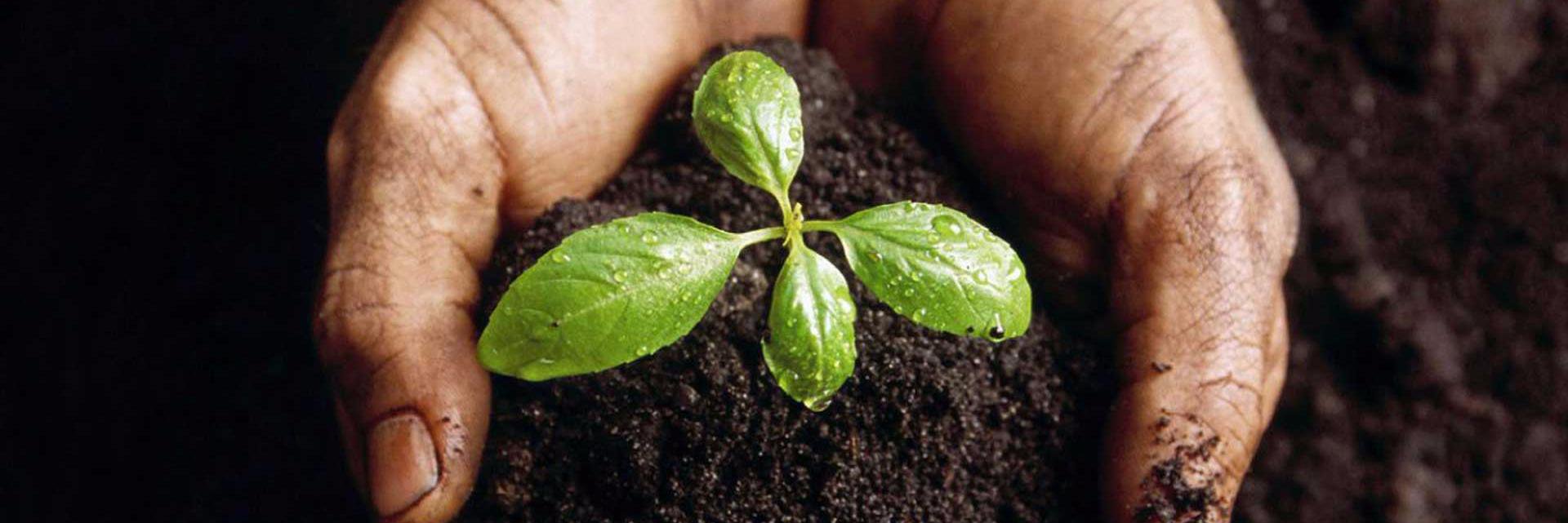 Sagarrak Ekologista Taldea banner