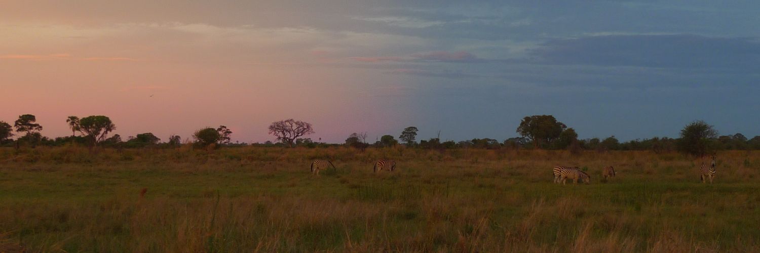 ZouElb's profile banner image