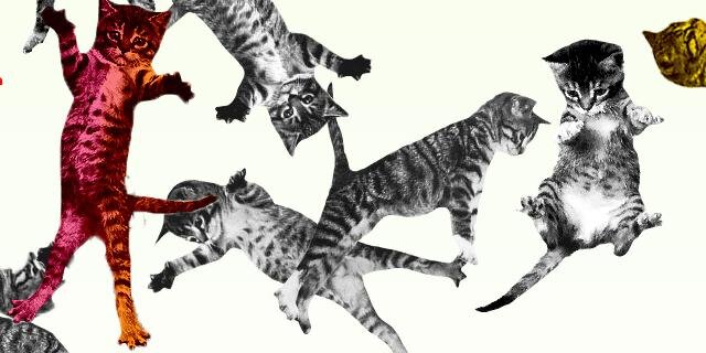 DavidSuchestow's profile banner image
