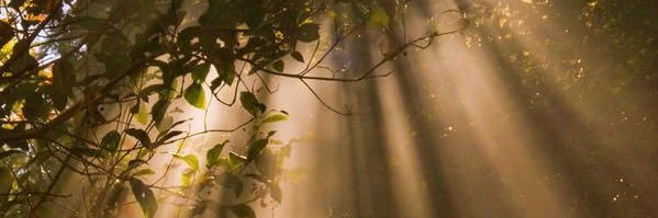 Asmapoem's profile banner image