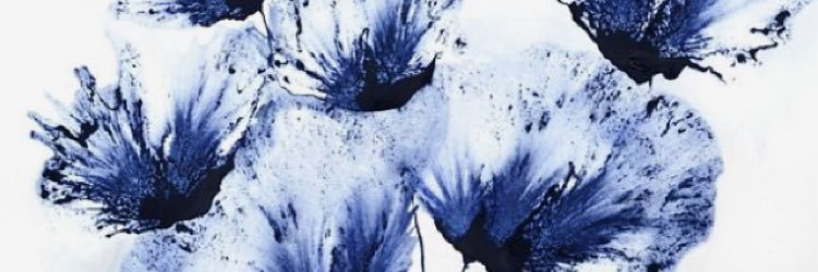 lauraatersigni's profile banner image