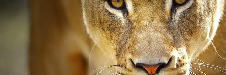 Mashbyee's profile banner image