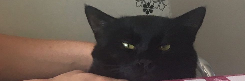 Paataatess's profile banner image