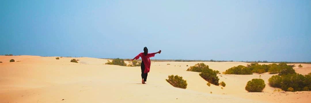 Vansvax's profile banner image