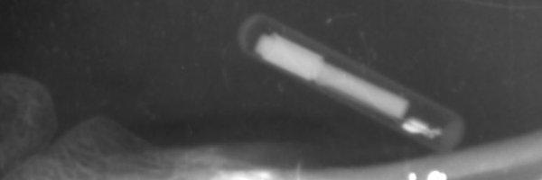 stutm Profile Banner