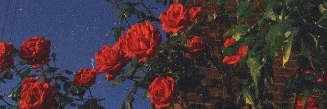 brincrin's profile banner image
