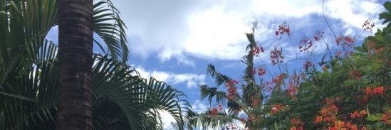 luos_46's profile banner image