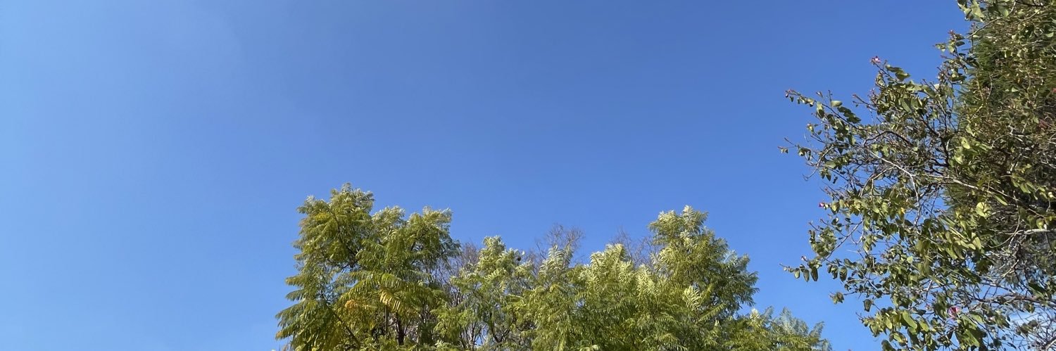 mishnewbooty's profile banner image