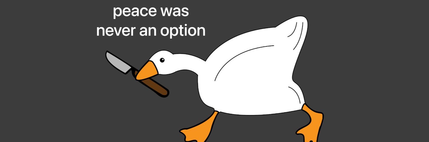 w_iltonjunior's profile banner image
