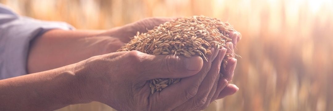 د. حمد البطشان banner