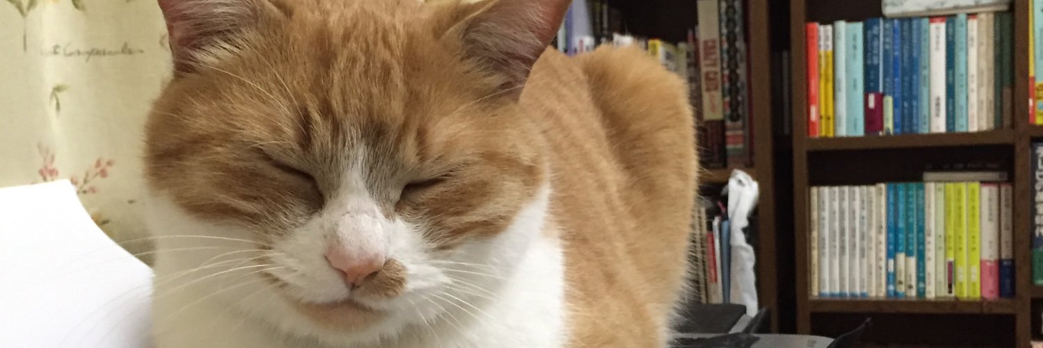 にくきゅう banner